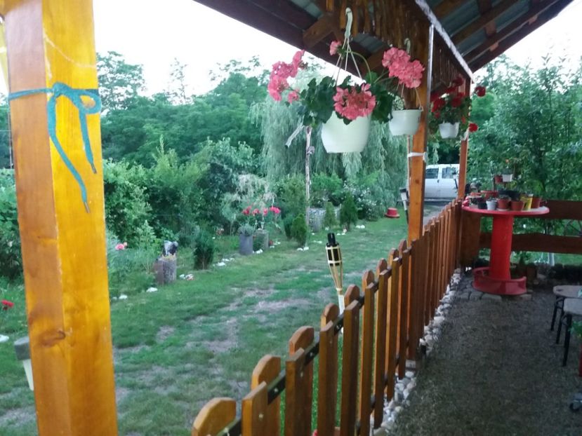  - vara 2019 in curte