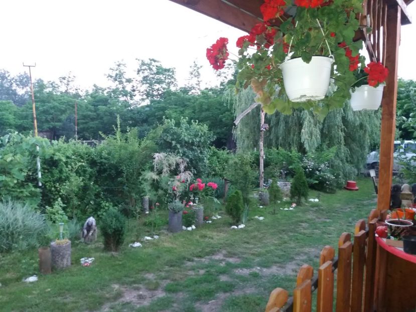  - vara 2019 in curte