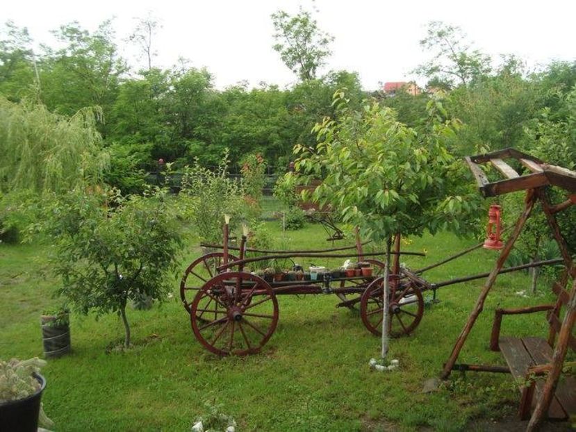  - vara 2019 in curte