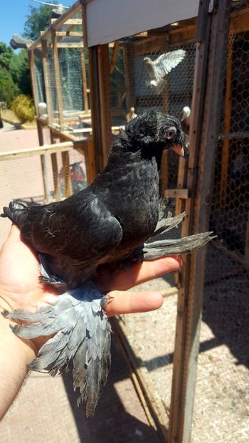  - Un proiect finalizat