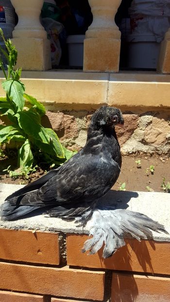  - Un proiect finalizat