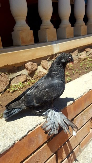  - Un proiect finalizat