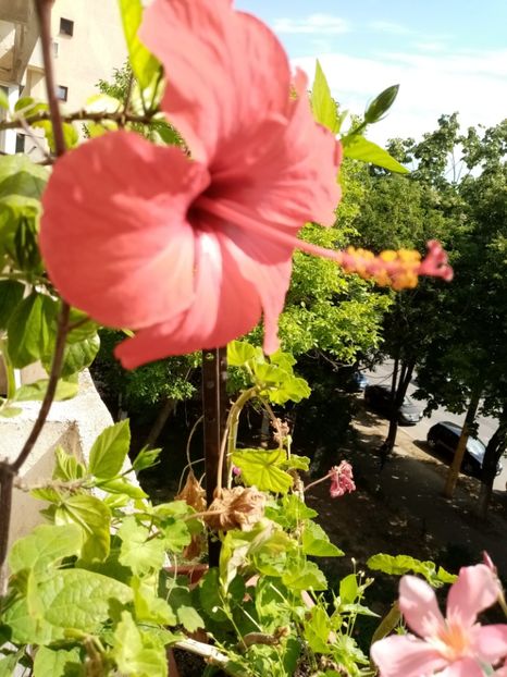  - iunie 2019