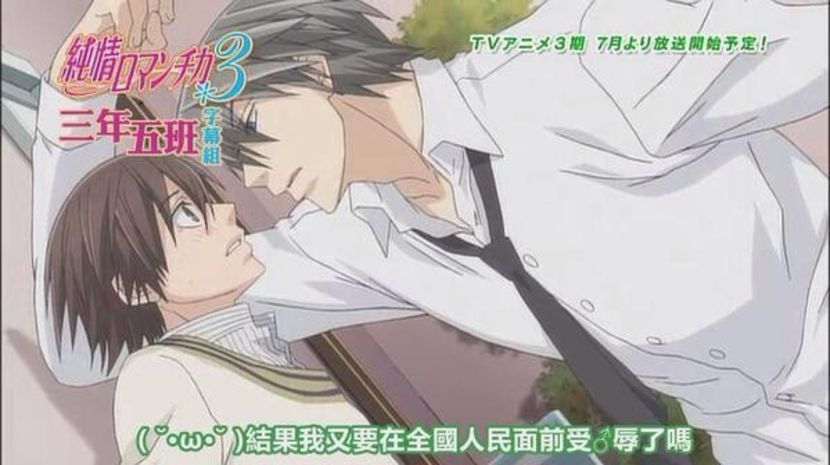 Junjou Romantica - Anime Yaoi