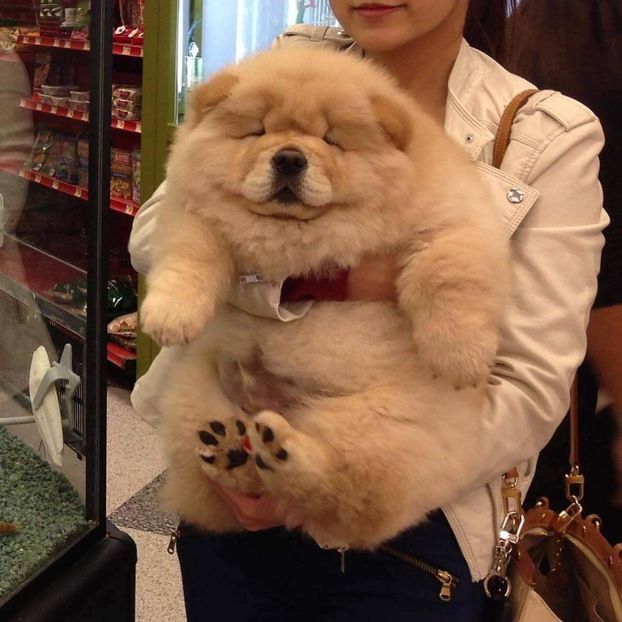  - it s just a game we do