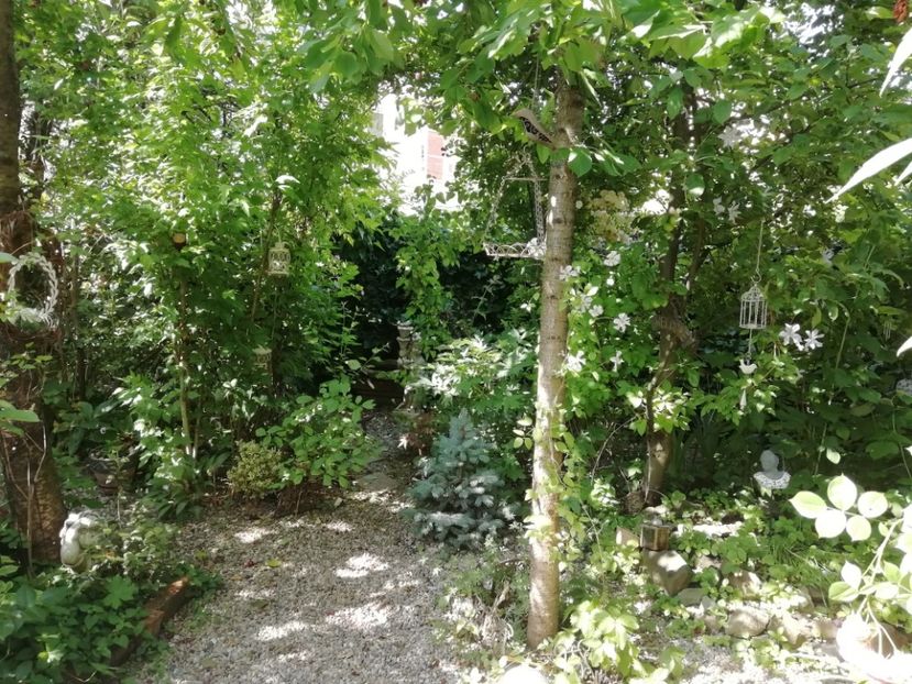  - Gradina 2019