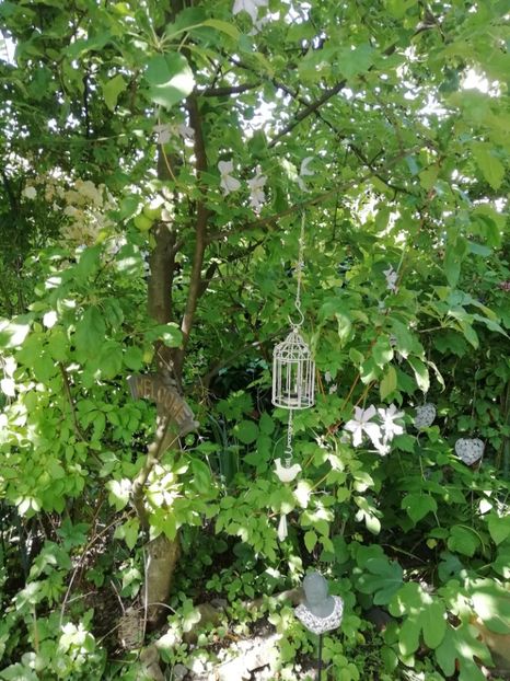  - Gradina 2019