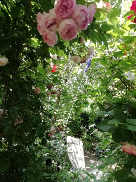  - Gradina 2019