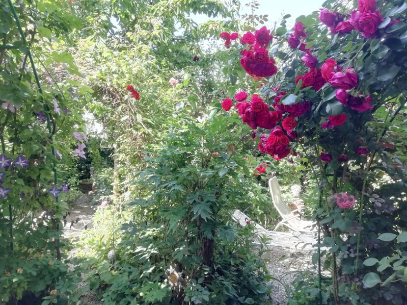  - Gradina 2019