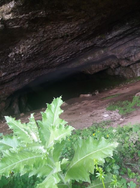  - Podul lui Dumnezeu în iunie 2019