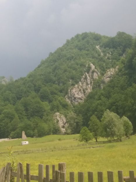  - Cerna Sat iunie 2019