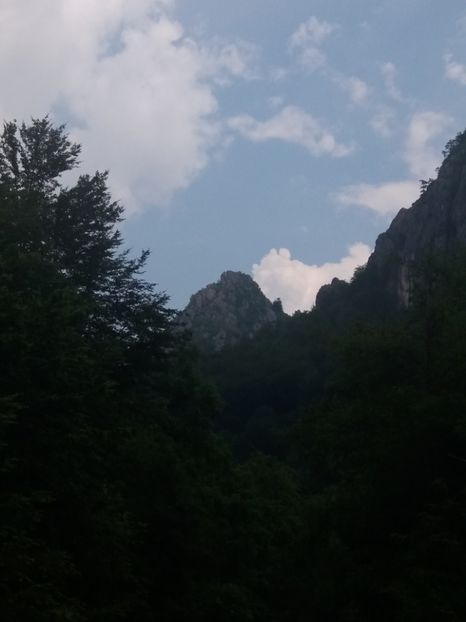  - Cerna Sat iunie 2019