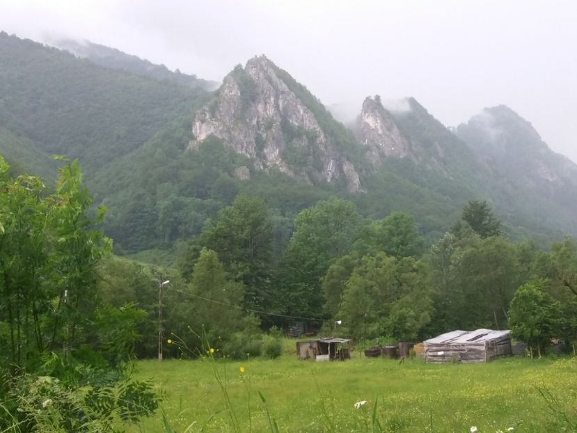  - Cerna Sat iunie 2019