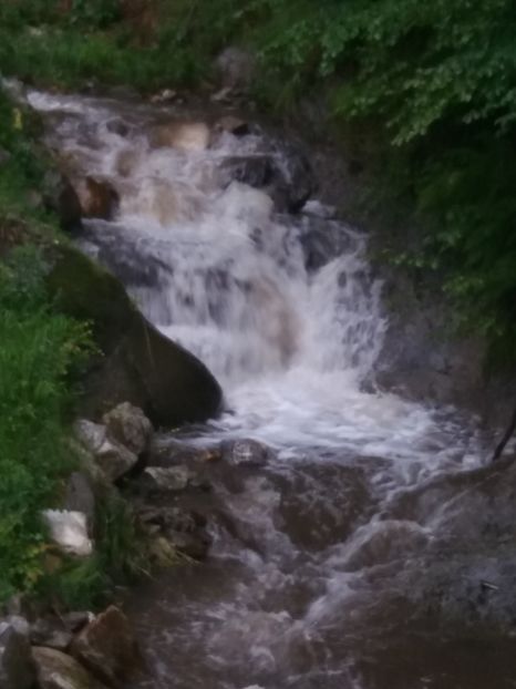  - Cerna Sat iunie 2019