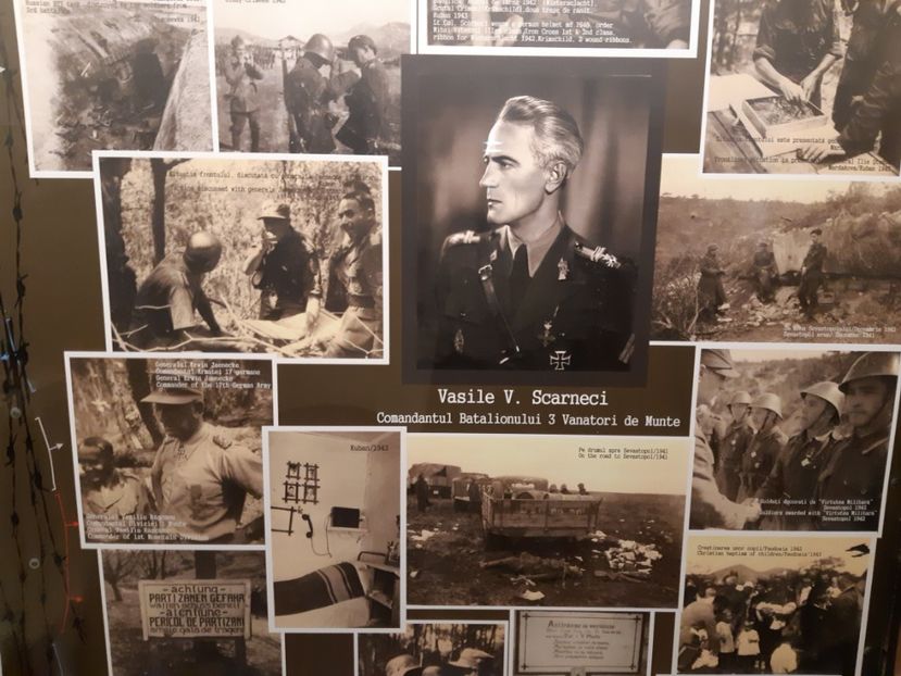  - 2018 -2019 Scoala Cata alte serbări