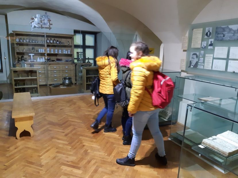  - 2018 -2019 Scoala Cata alte serbări