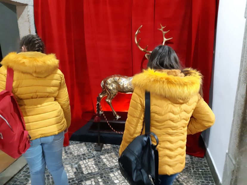  - 2018 -2019 Scoala Cata alte serbări