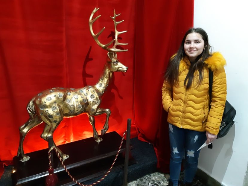  - 2018 -2019 Scoala Cata alte serbări