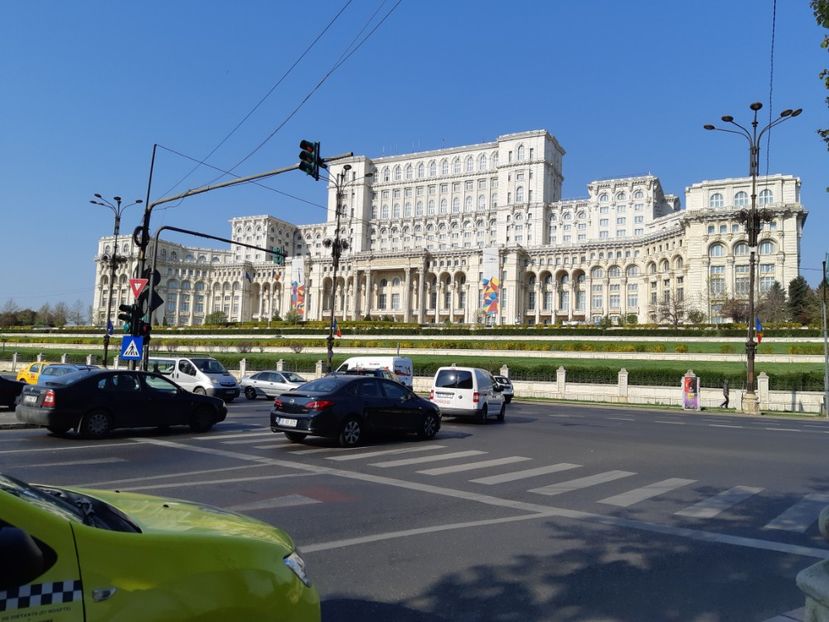  - 2018 -2019 Scoala Cata alte serbări