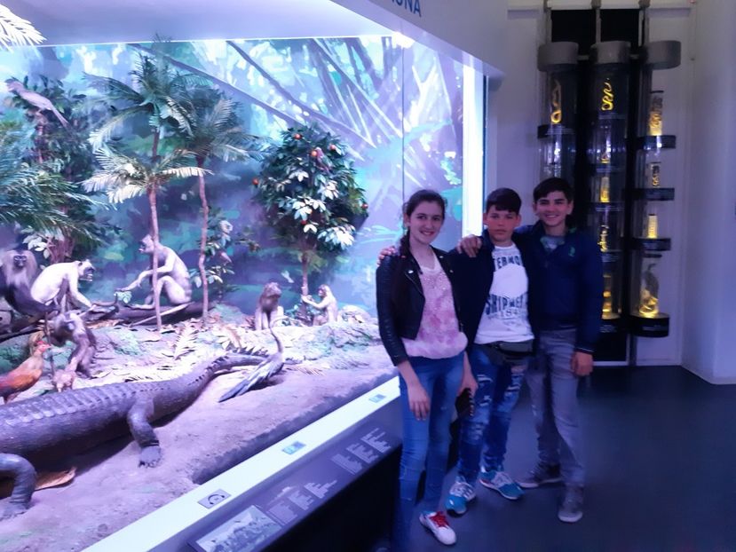  - 2018 -2019 Scoala Cata alte serbări