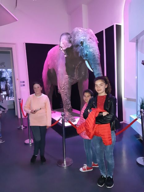  - 2018 -2019 Scoala Cata alte serbări