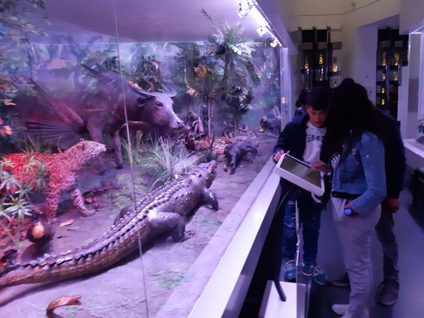  - 2018 -2019 Scoala Cata alte serbări