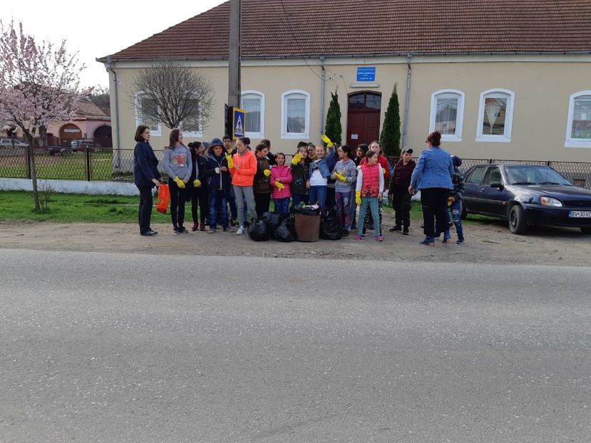  - 2018 -2019 Scoala Cata alte serbări