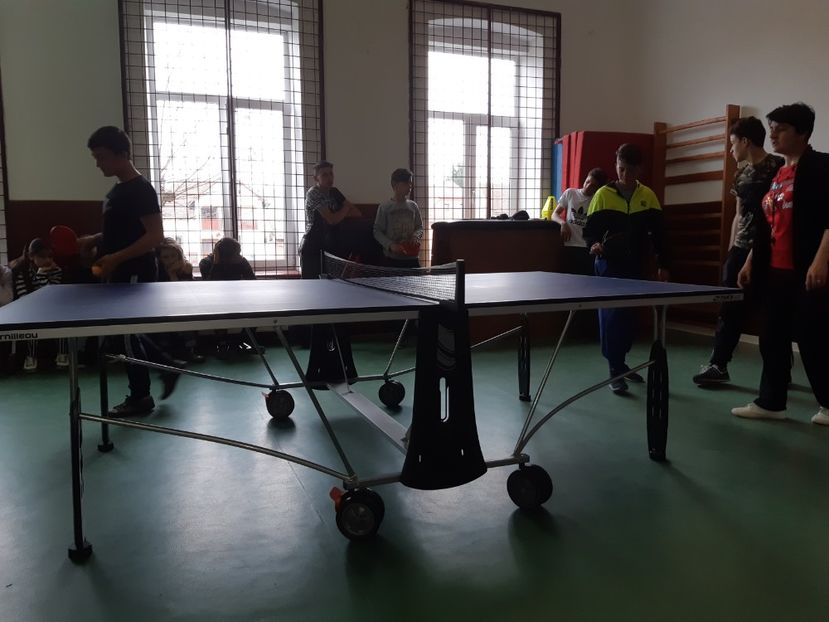  - 2018 -2019 Scoala Cata alte serbări