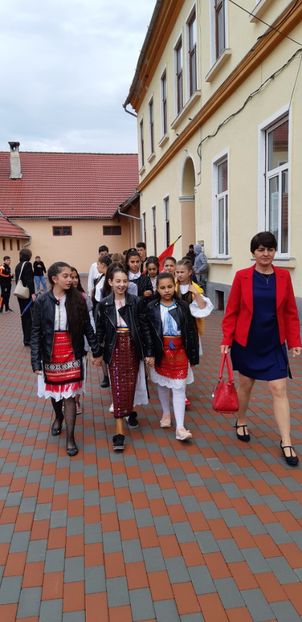 sc homorod ziua eroilor - 2018 -2019 Scoala Cata alte serbări