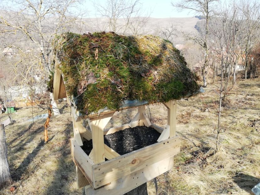  - Loc drag sufletului