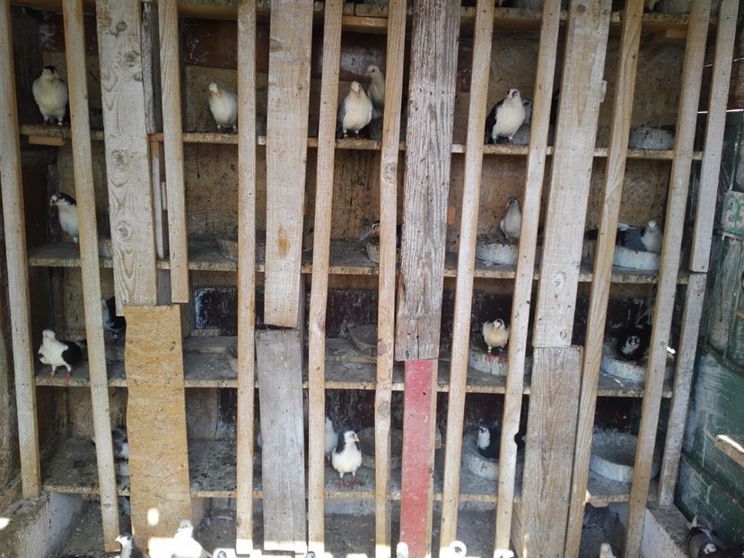  - 1926 Geinur Normambet