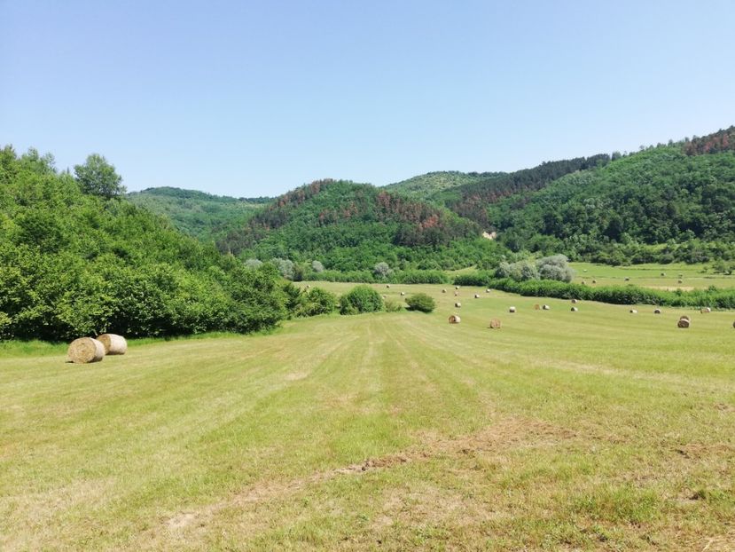  - Loc drag sufletului