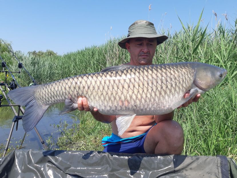 Dudești iunie 2019 - Capturi-pesti