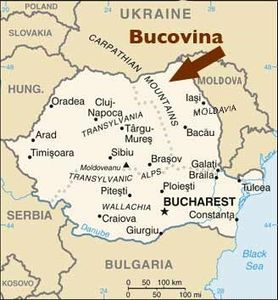 Ro-map - CAMERE GRATIS - PENTRU STUDENTII DIN BASARABIA SI BUCOVINA - cu gradina de vara