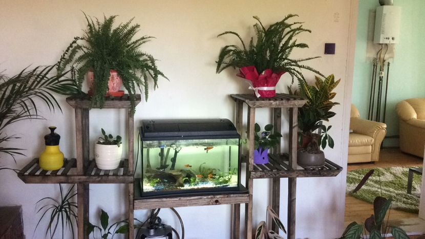 783ADA0A-2097-4127-BC7B-BE32C5D4C0F3 - flori 2019