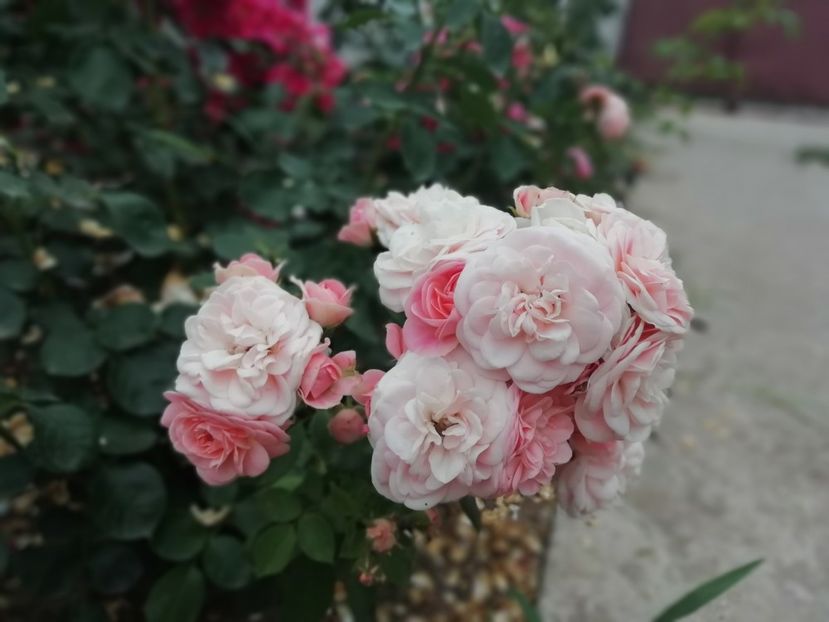 2019 - 20.06 - Bailando