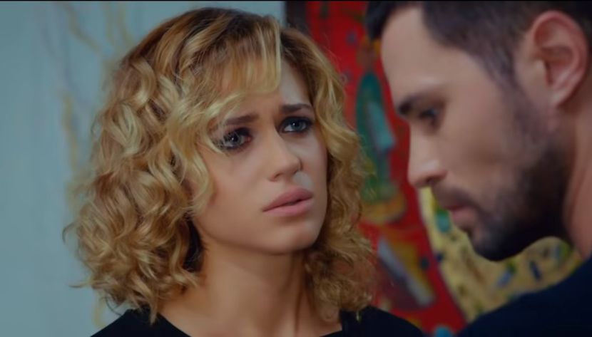 bandicam 2019-06-21 18-36-49-369 - 01 fructul oprit 02-00-nse-04