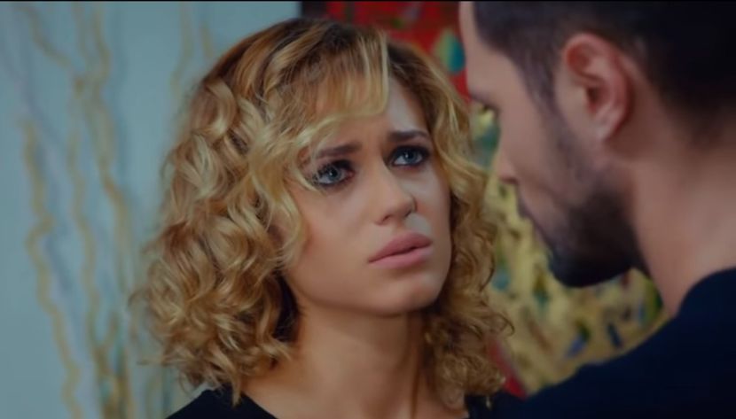 bandicam 2019-06-21 18-36-51-399 - 01 fructul oprit 02-00-nse-04