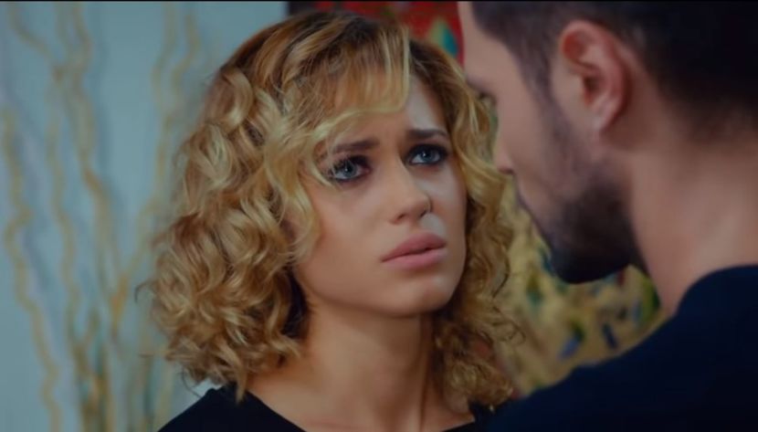 bandicam 2019-06-21 18-36-52-426 - 01 fructul oprit 02-00-nse-04