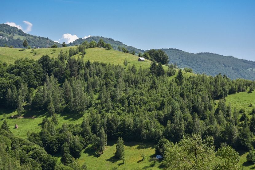  - 11 - Peștera Bv-iunie 2019
