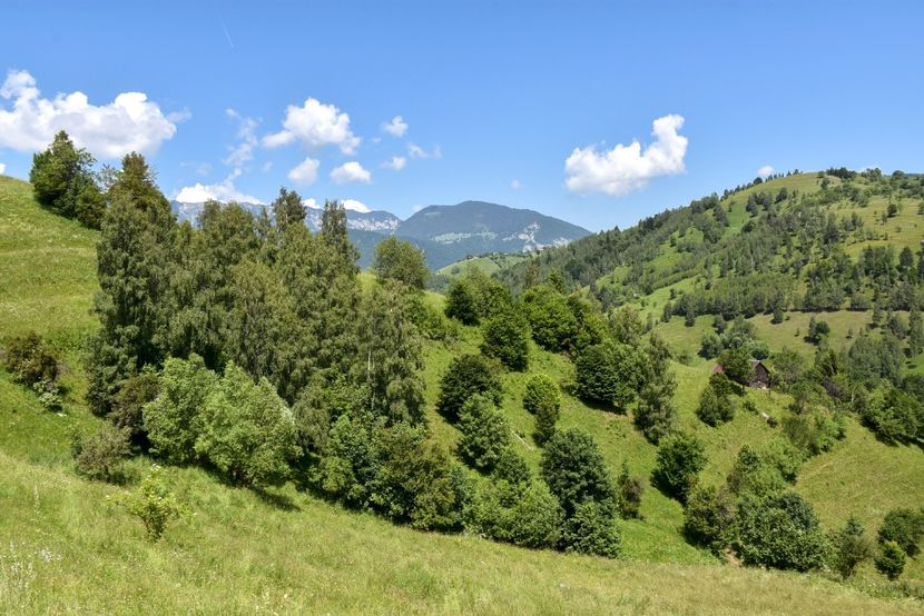  - 11 - Peștera Bv-iunie 2019