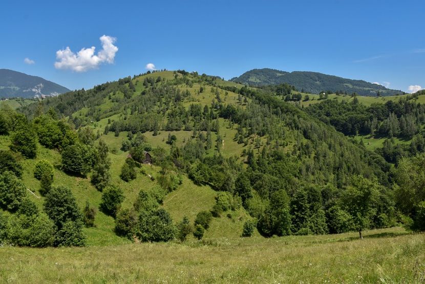  - 11 - Peștera Bv-iunie 2019