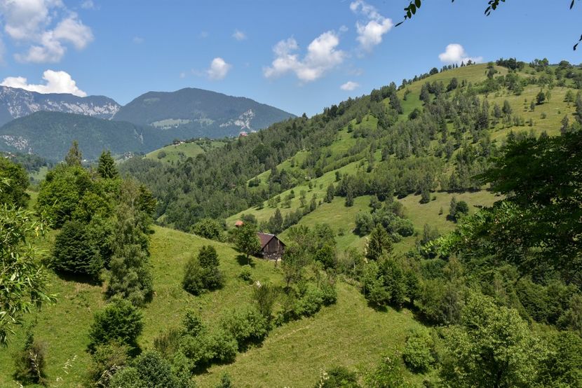  - 11 - Peștera Bv-iunie 2019