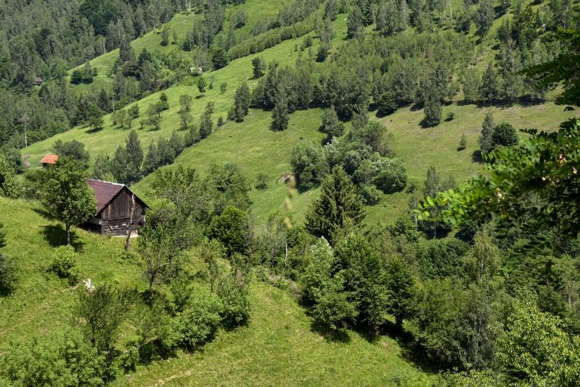  - 11 - Peștera Bv-iunie 2019