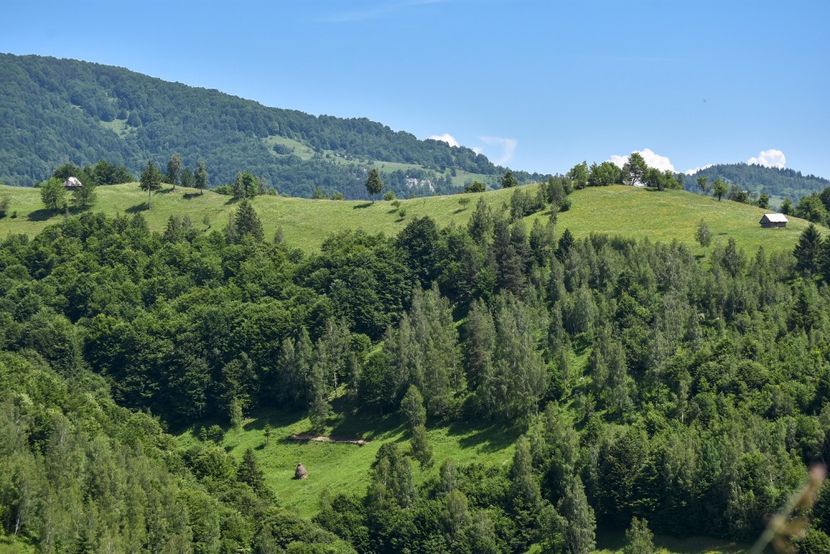  - 11 - Peștera Bv-iunie 2019