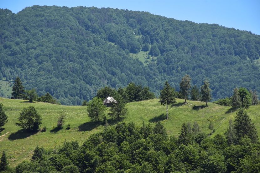  - 11 - Peștera Bv-iunie 2019
