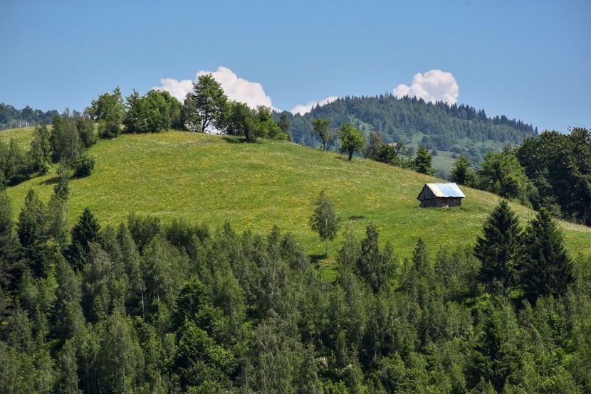  - 11 - Peștera Bv-iunie 2019