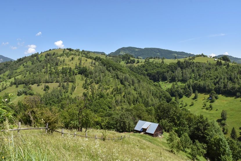  - 11 - Peștera Bv-iunie 2019