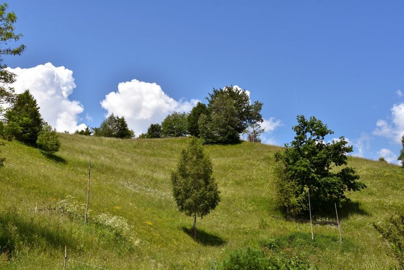  - 11 - Peștera Bv-iunie 2019