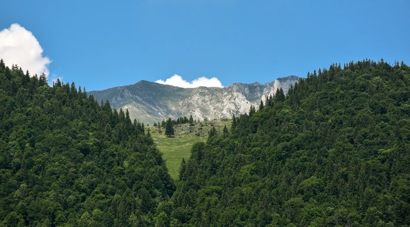  - 11 - Peștera Bv-iunie 2019